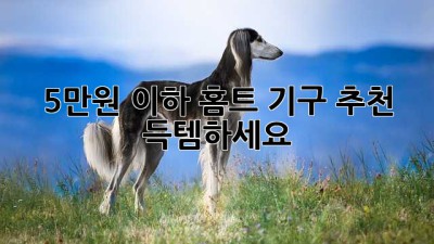 5만원 이하 홈트 기구 추천! 득템하세요! ✨