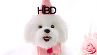 놓치면 후회! 귀염뽀짝 동물고깔모자 찐후기 & 꿀팁 대방출 🐾