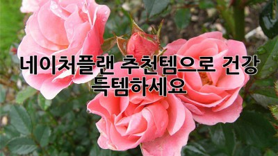네이처플랜 추천템으로 건강 득템하세요!