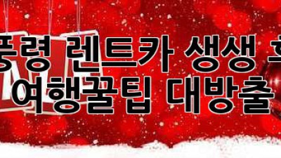 추풍령 렌트카 생생 후기!🚗💨 여행꿀팁 대방출!